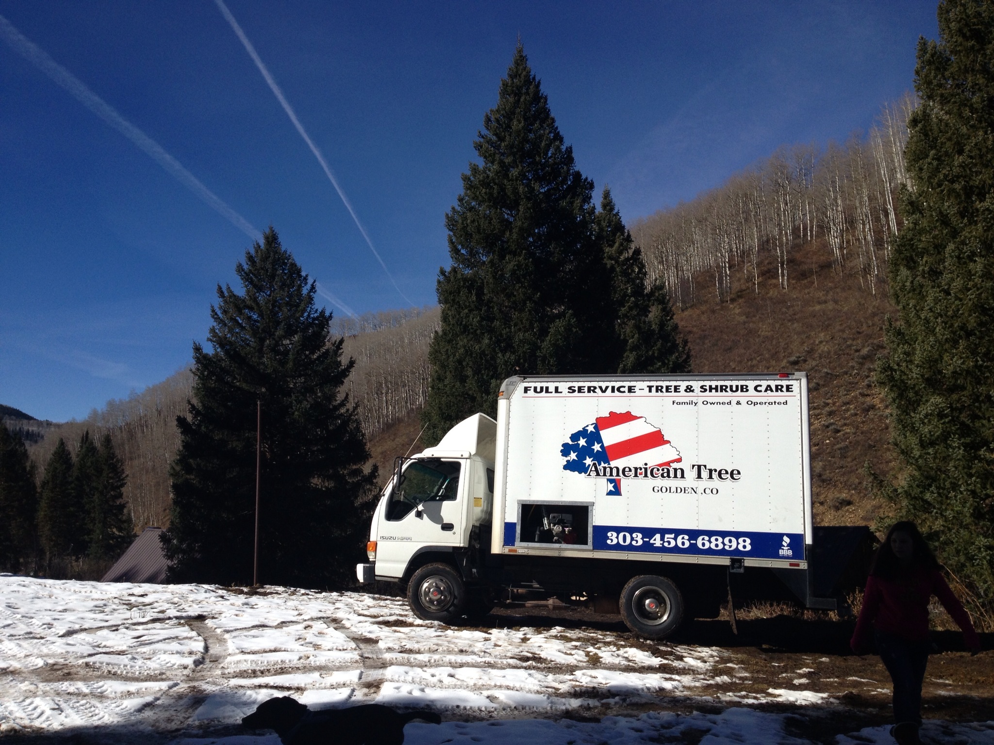 Tree care work by American Tree Colorado