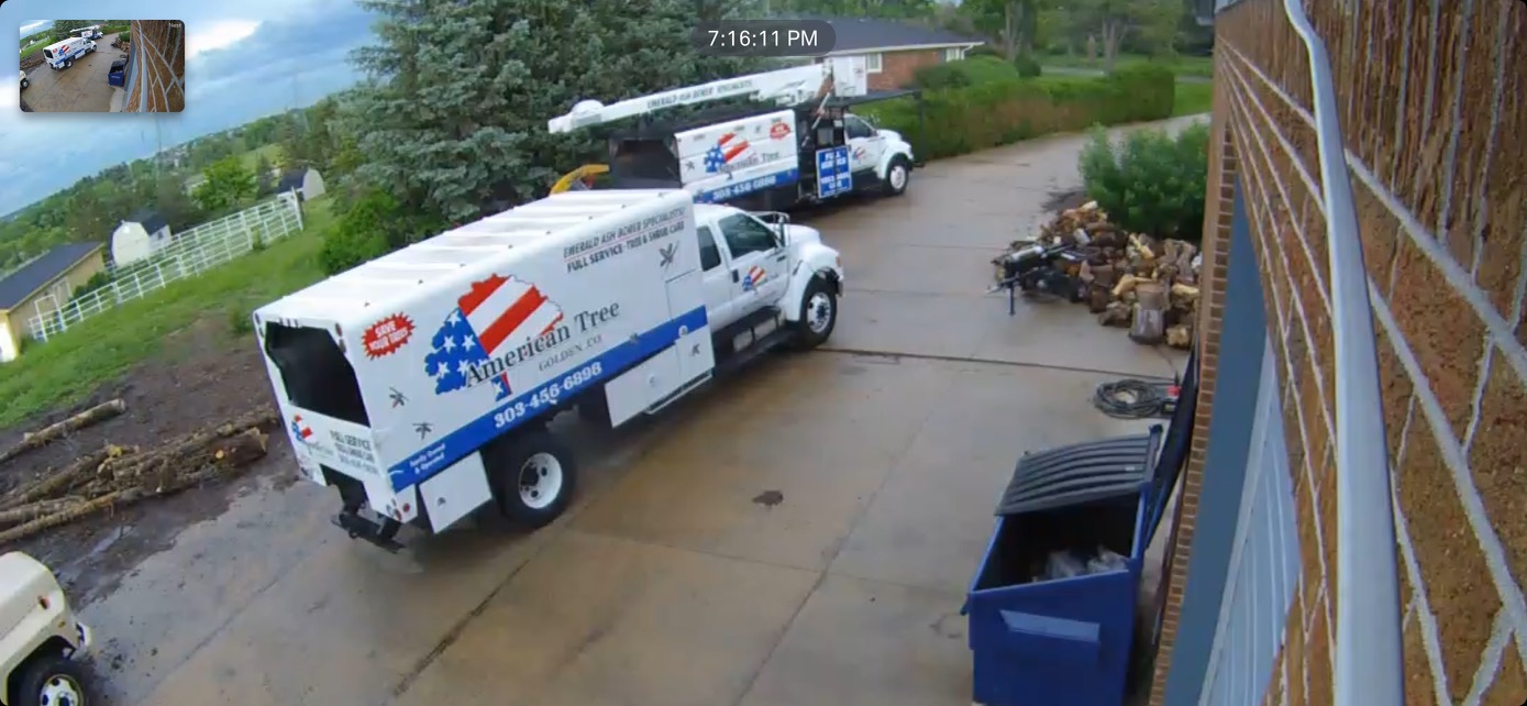 Tree care project from the American Tree Colorado portfolio