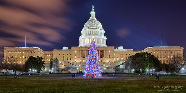 Historic tree preservation treatment example